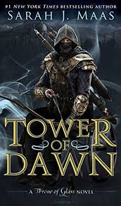 Tower of Dawn Review